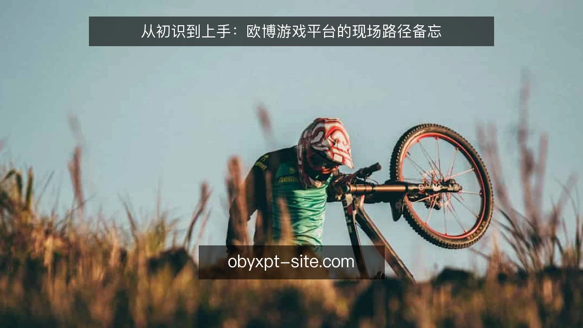 从初识到上手:欧博游戏平台的现场路径备忘