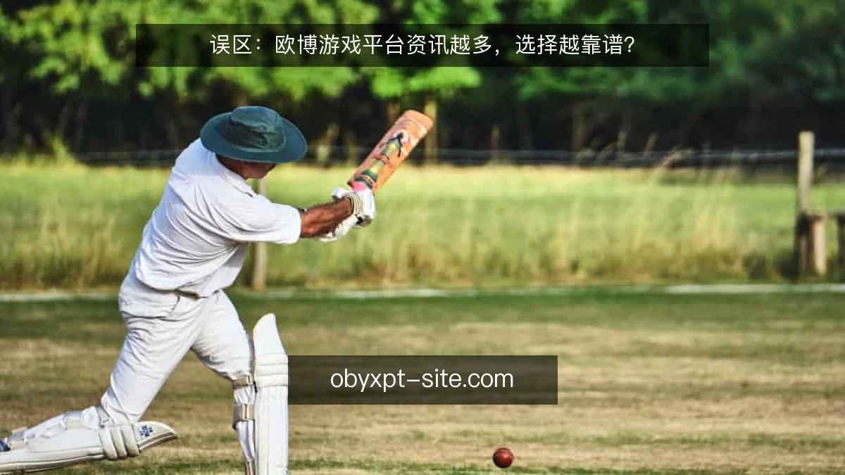 误区:欧博游戏平台资讯越多,选择越靠谱?