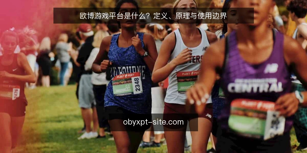 欧博游戏平台是什么?定义、原理与使用边界 — 欧博游戏平台是什么? 配图