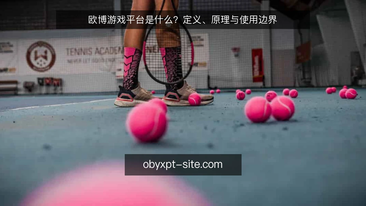 欧博游戏平台是什么？定义、原理与使用边界
